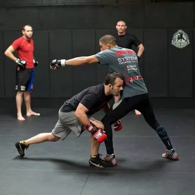 Mixed-Martial-Arts